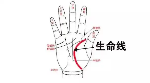 手相生命线该怎么看?