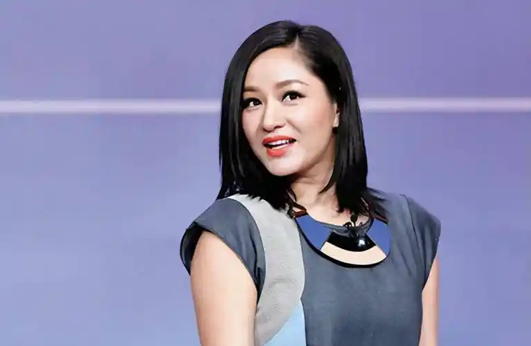 这份简历是瞿颖的粉丝专门为她制作的,简历最上边用一行大字总结了