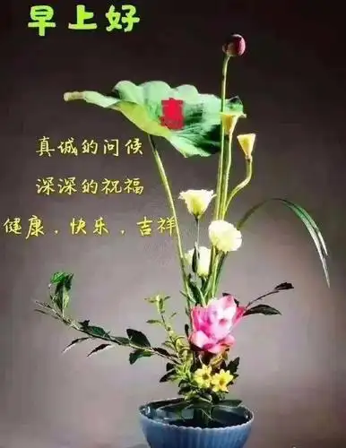 用顺口溜问候早上好 早上好图片18种 - 早安心语- 不二励志语录