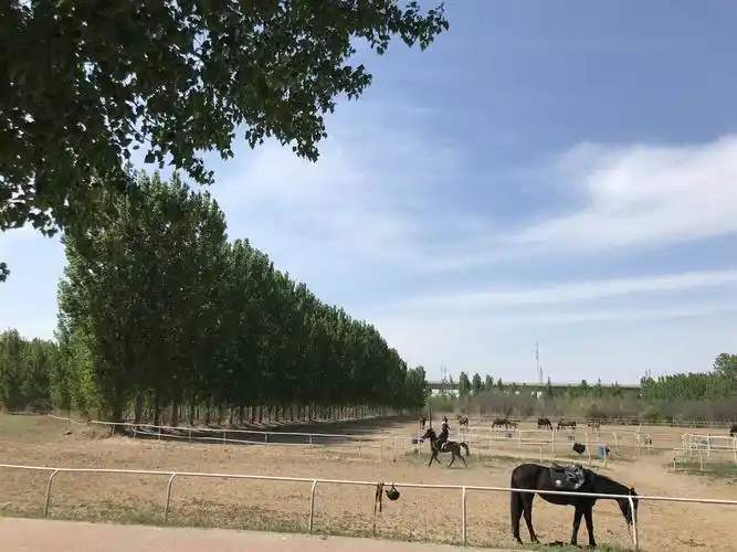 天津马术俱乐部套票