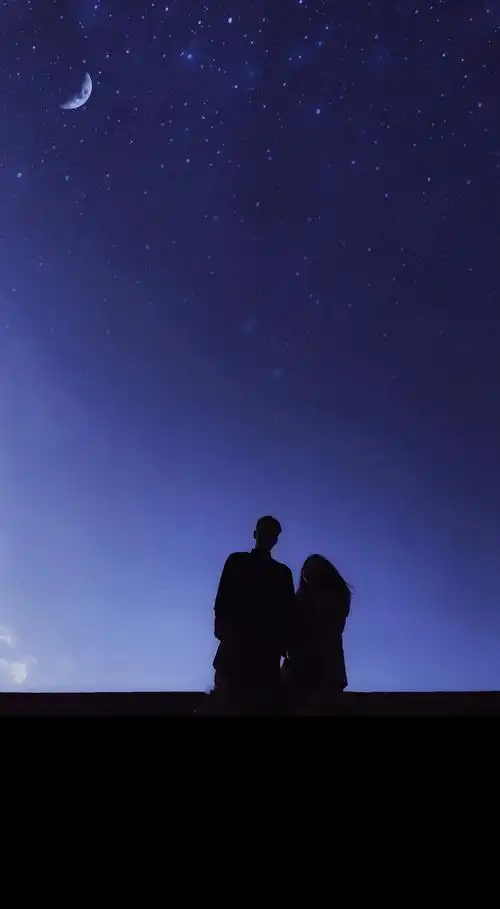 夜空下的情侣恩爱背影1080x2160分辨率查看