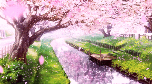 540_301gif 动态图 动图