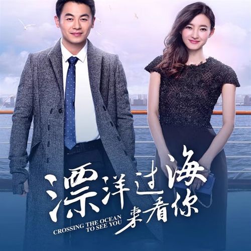 dvd碟片光盘 朱亚文 王丽坤