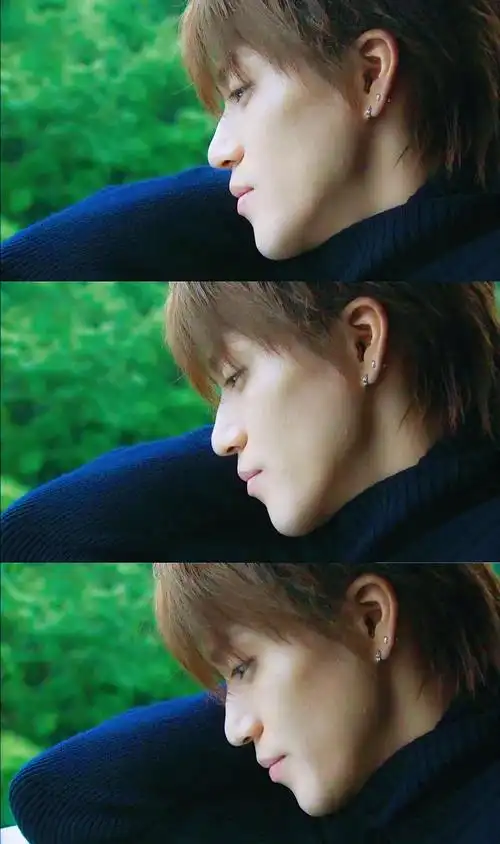 最完美最让人心疼的花泽类