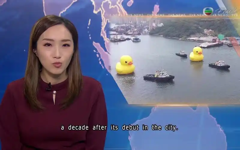 【tvb明珠台】晚间新闻20230525邓诗颖cut