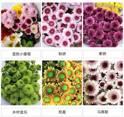 混搭小雏菊鲜花花束鲜花批发
