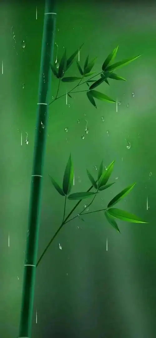 绿色养眼高清壁纸