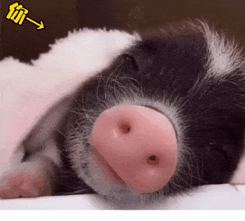 20个抖音近期超火表情丨37度的天气你们喊热37度的人你说抱就抱