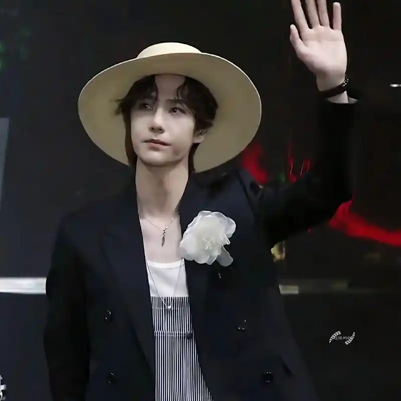 肖战王一博.白芍药,路飞装,正衣冠,见良人.#肖战 #王一博 - 抖音