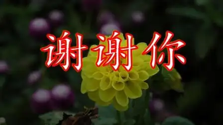 有你真好, 一曲《谢谢你走进我的世界》送给生命中的每一位!