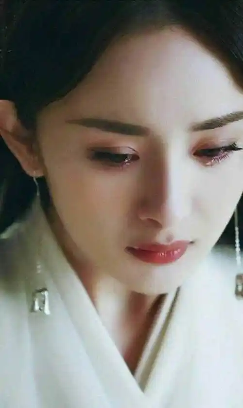 演技_公子_模样