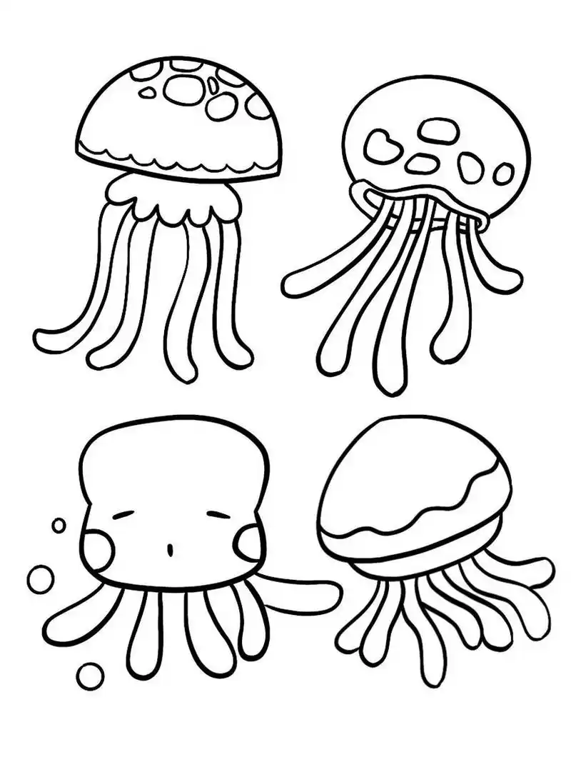 简笔画|水母 44/100 989898