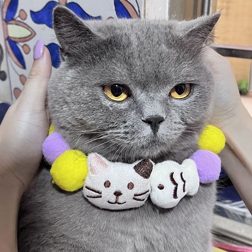 宠物猫咪项圈项链可爱高颜值手工定制可调节彩虹狗狗项圈围脖