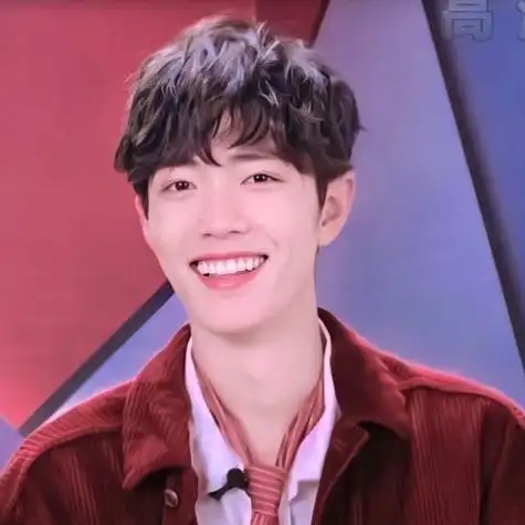 肖战头像微笑男头元气评论收藏