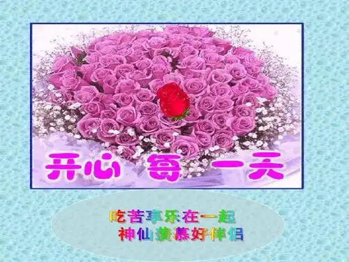 [健康谣]珍惜人生乐其中,免费,动态页面的背景,开心每一天,与喜爱的