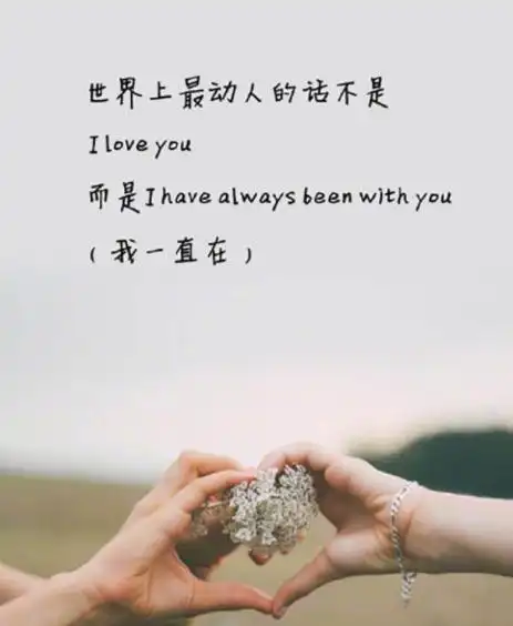 太绝了(爱情的诗句唯美短句) - 关于理解的句子唯美短句 - 实验室设备