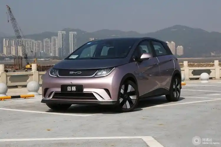 这四款纯电动车不可错过|海豚|aion-东方今报网-汽车频道