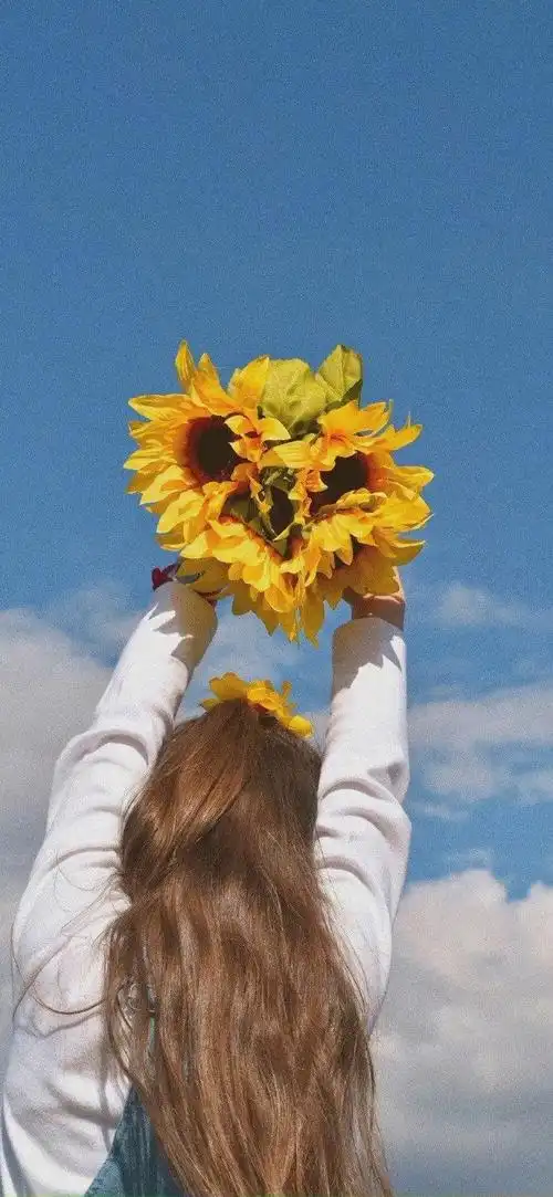 有没有都是向日葵的壁纸呢,让人看了心情超好的?