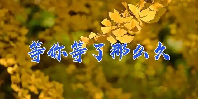 祁隆情歌《等你等了那么久》醉心动人,伤感深情触人心弦