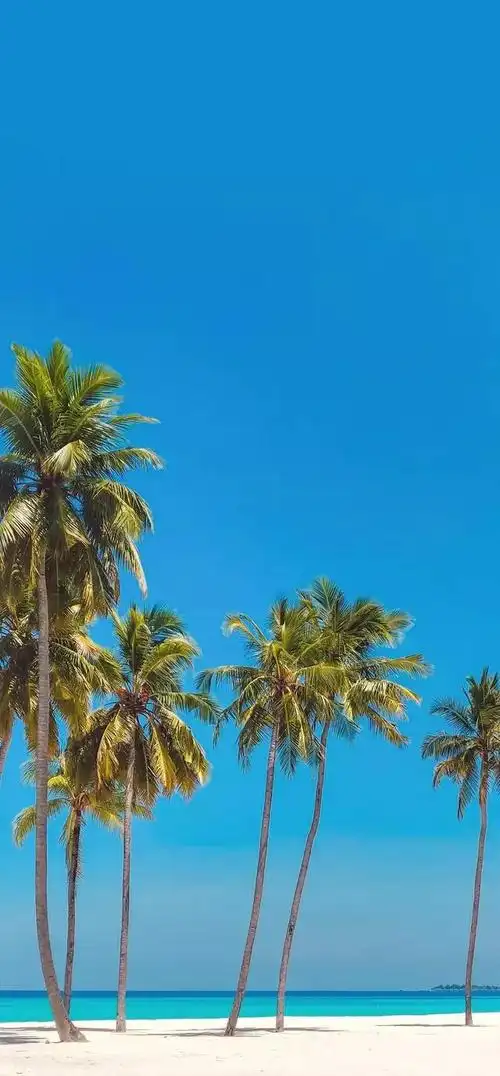 风景壁纸风景如画似玉蓝天白云景色太让人如痴如醉