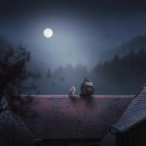 月亮不属于任何一个人但某一刻它的光真的照亮过我