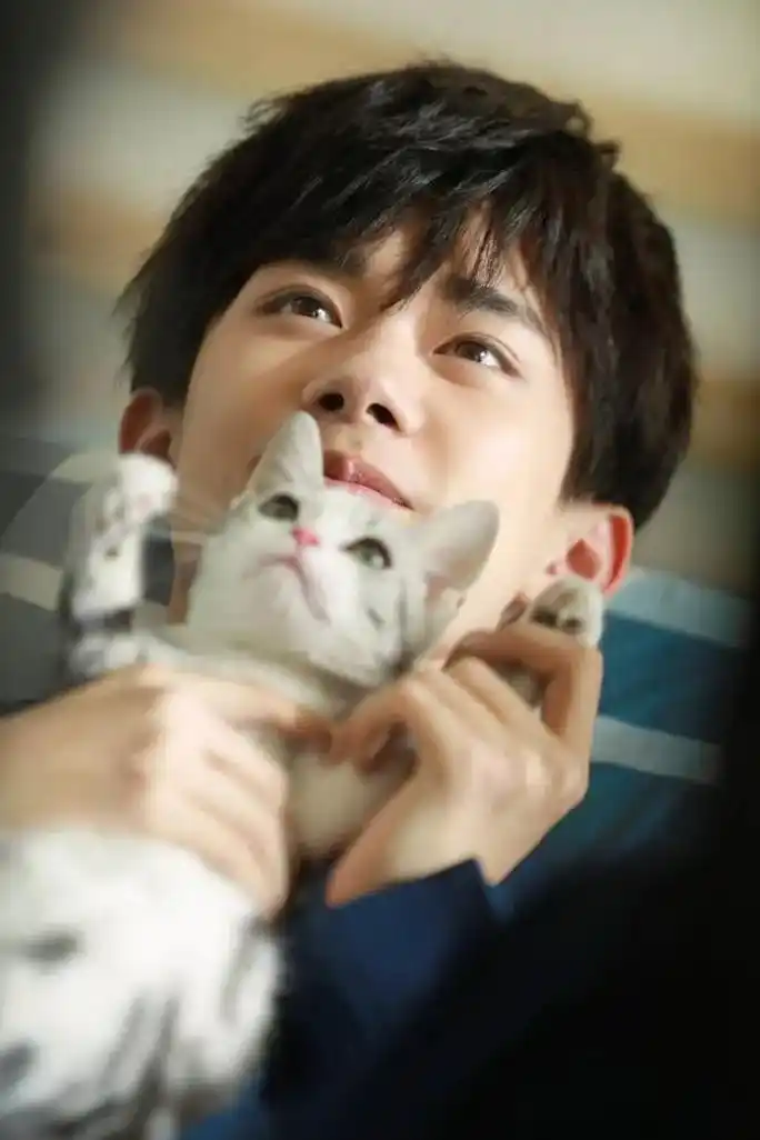 千玺抱猫合集!啊啊啊啊,太苏了有没有!(照片是迄今为止收藏的 - 抖音