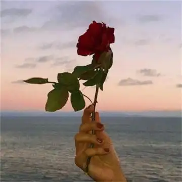 2020独一无二的微信头像意境图片 敬她岁月无波澜敬我余生不悲欢