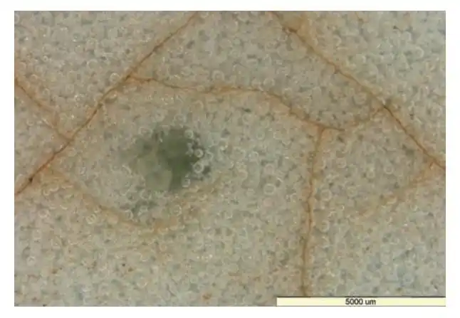故宫博物院藏宋代官窑及明清仿官瓷器的显微特征