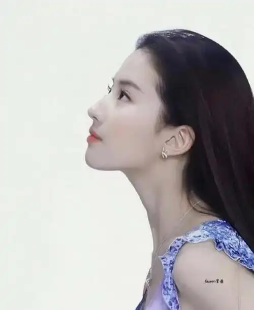 皮相骨相完美刘亦菲