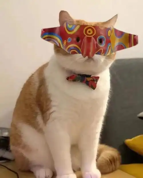 但是,强如宝马强如m,刷屏的却不是它,而是从不用投广告的阿祖特斯拉.