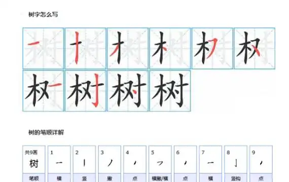 树的笔顺怎么读,树的笔顺笔画顺序图3