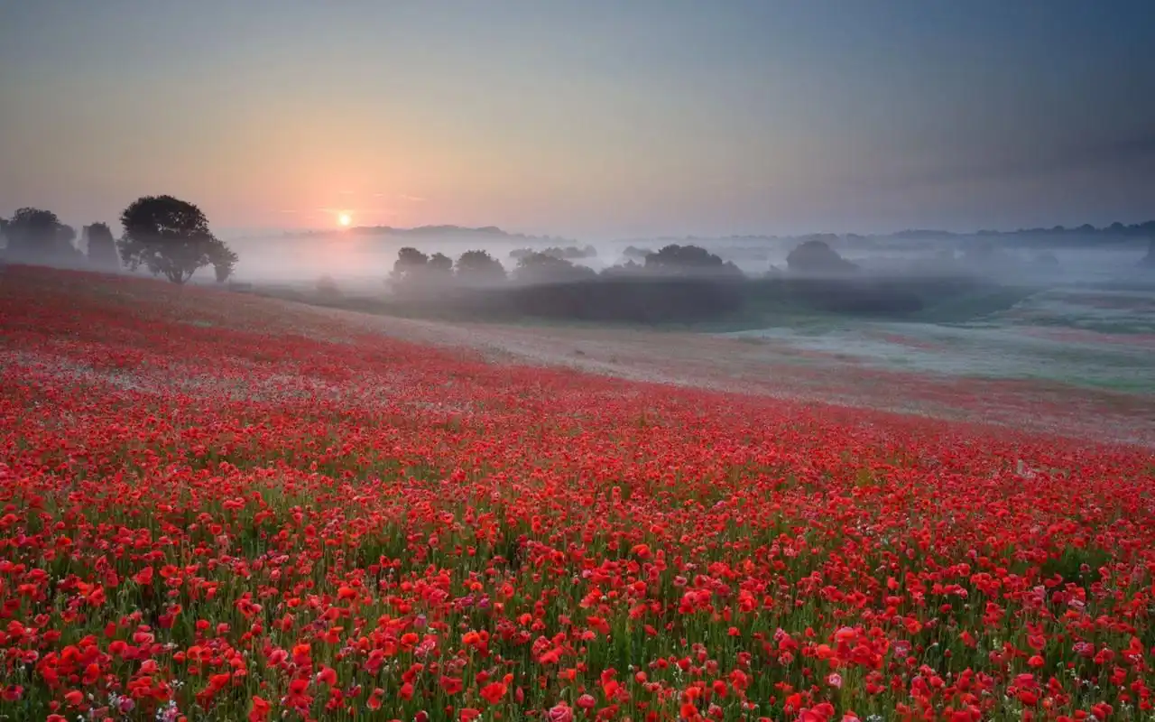 唯美意境图片清晨的阳光桌面壁纸第二辑