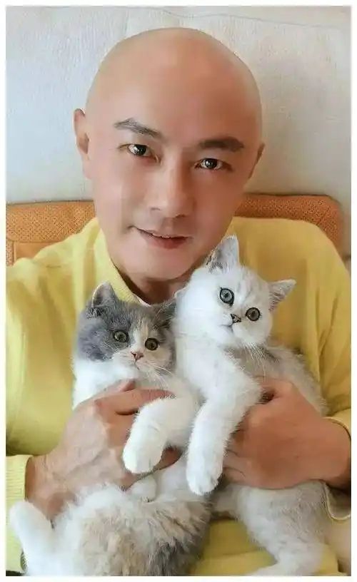 张卫健_人生_梦想