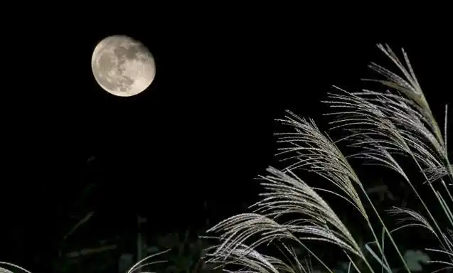 乡村的生活,抬头看见了月亮