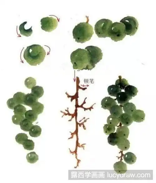 国画葡萄步骤