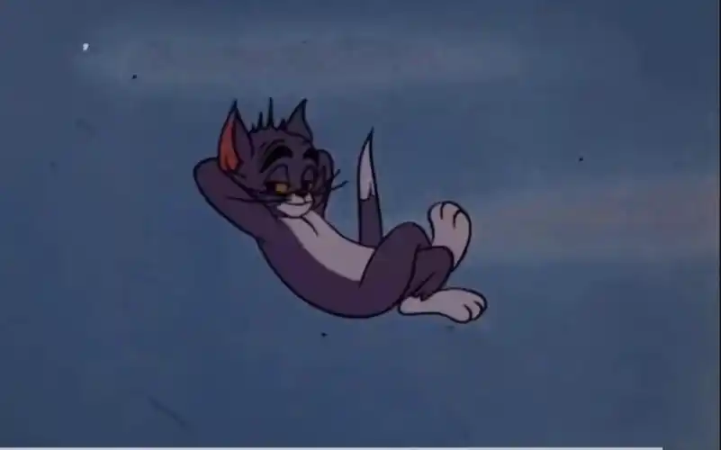 "自信即是巅峰,优雅永不过时"