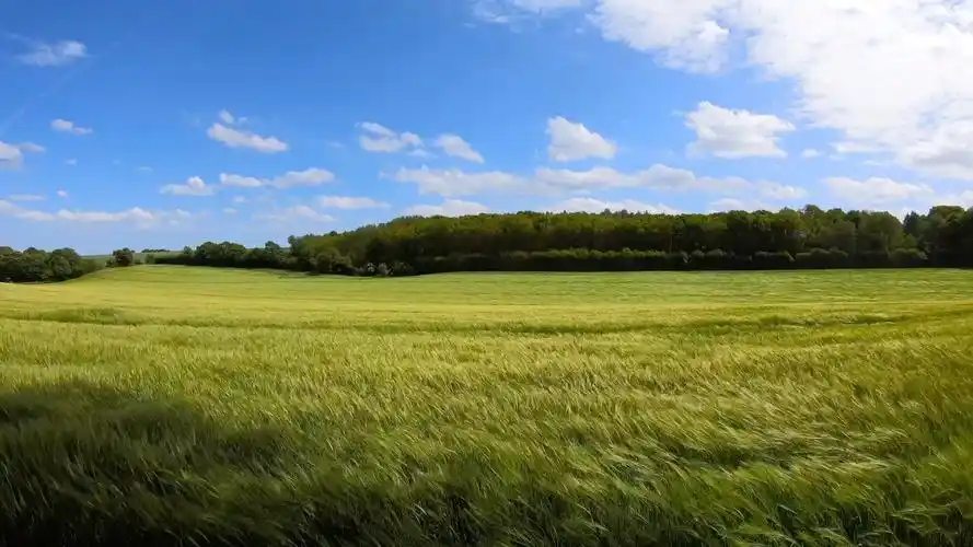 (无水印)唯美治愈素材分享 第2期-约翰乔-空镜-哔哩哔哩视频