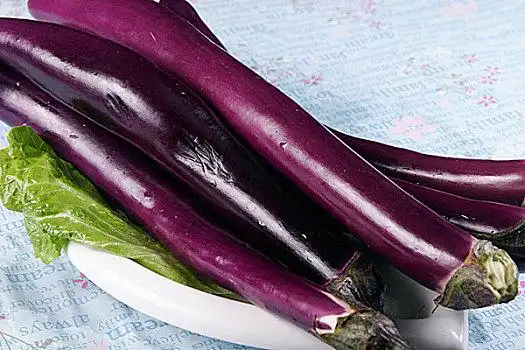 茄子图片_茄子图片大全_茄子图片下载_全景图库