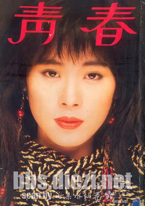 关淑怡超大精美封面集