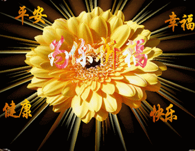 祝福你我的天天!      就让我的祝福为你消