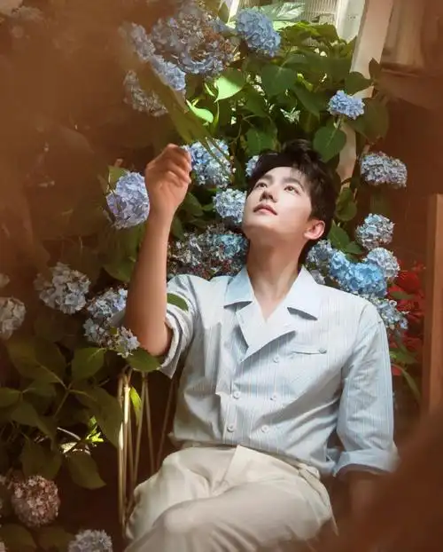 杨洋拿捏男大风如此简单##杨洋绣球花丛大片