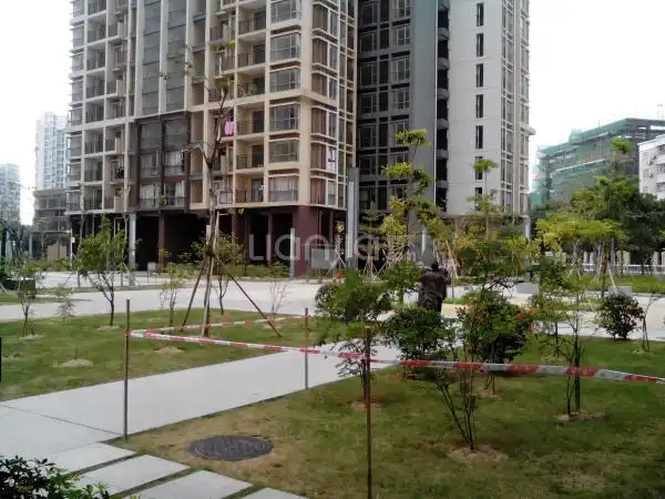 深圳硅谷人才公寓小区_硅谷人才公寓详细信息|二手房|租房|小区顾问