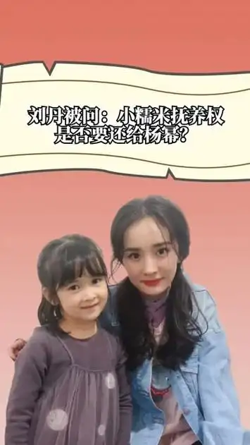 刘丹被问:小糯米抚养权是否要还给杨幂?一句话回答令人耐人寻味