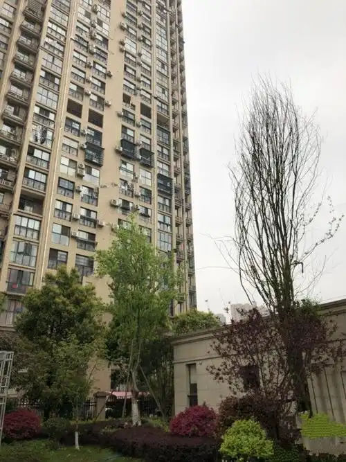 长沙天心南城省府片区福晟克拉美丽山庄二期实景图21- 吉屋网