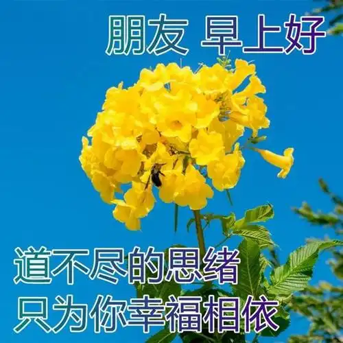 早上好祝福语,特别漂亮的早上好图片表情 早上好图片大全