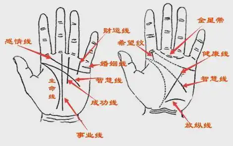 两次婚姻的手相特征,35岁后大富大贵的手相,一生不结婚的手相