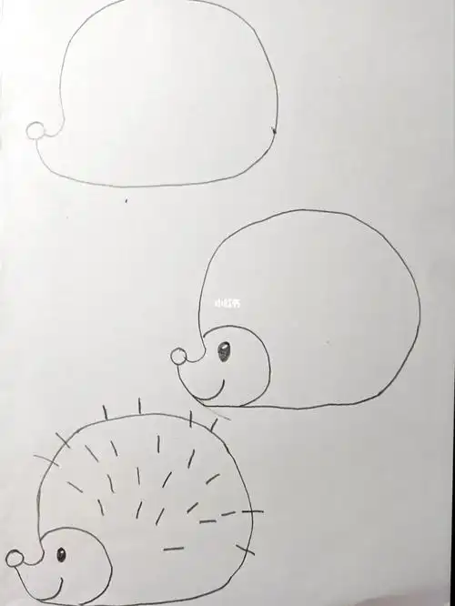 简笔画42刺猬