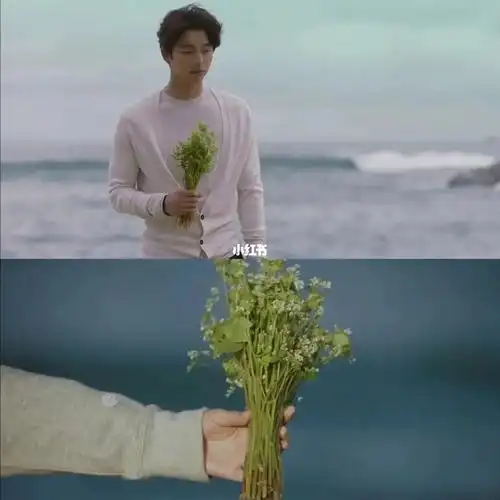 又到了刷鬼怪的季节了,刚去mt看了一下,为什么没有花店卖荞麦花啊