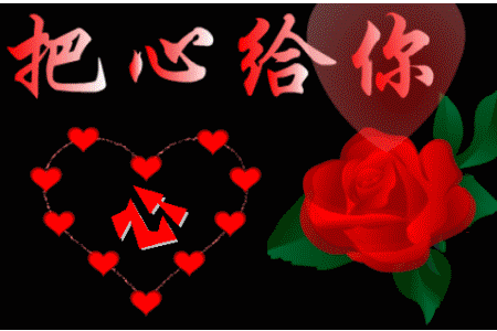 玫瑰说:不是所有的鲜花都代表爱情