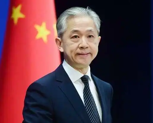 外交部发言人汪文斌.图片来自外交部